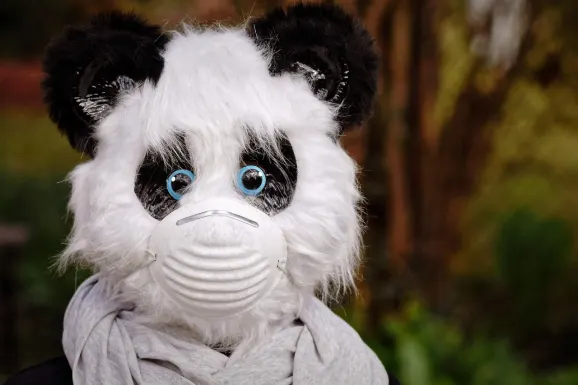 Thunderbolt Casino Podrška